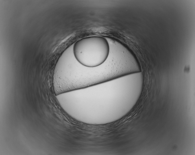 X0000116371205200912021002