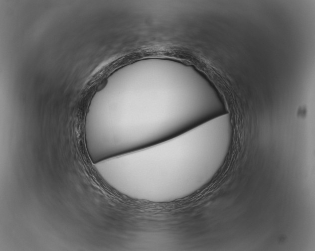 X0000116371206200912021002