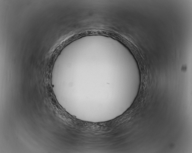 X0000116371207200912021002