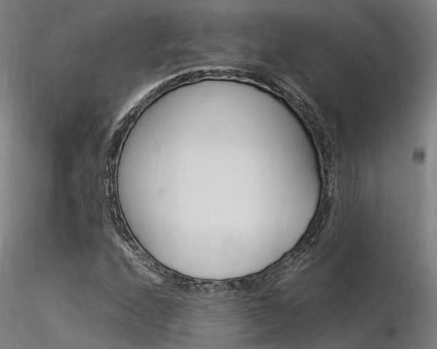 X0000116371208200912021002