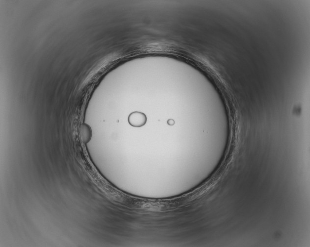 X0000116371211200912021002