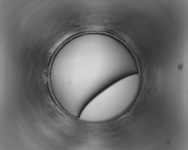 X0000116371212200912021002