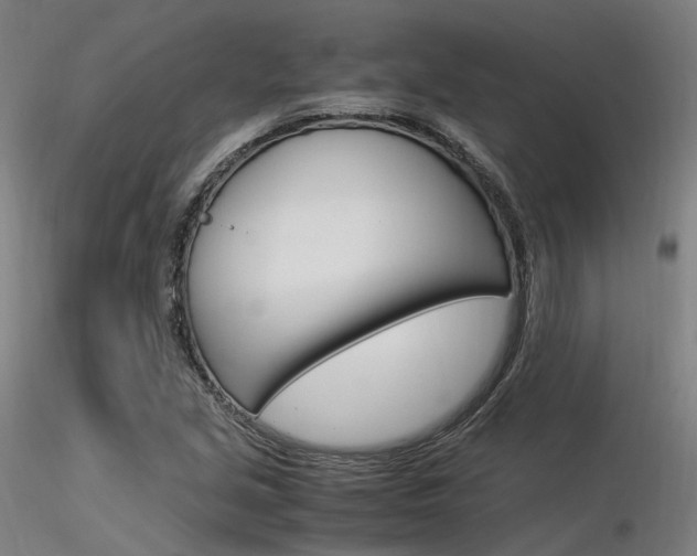 X0000116371213200912021002
