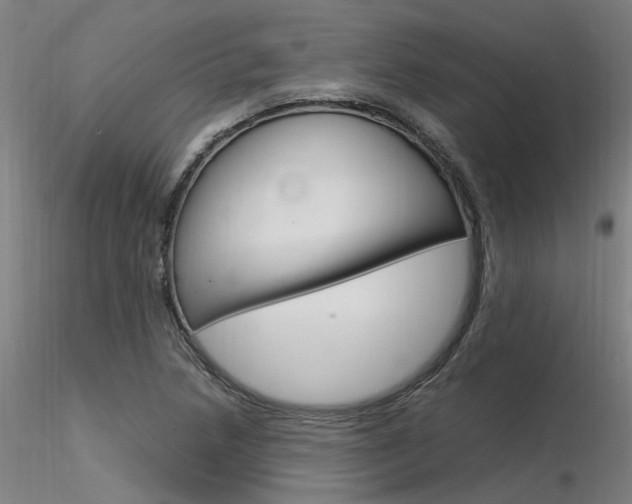 X0000116371218200912021002