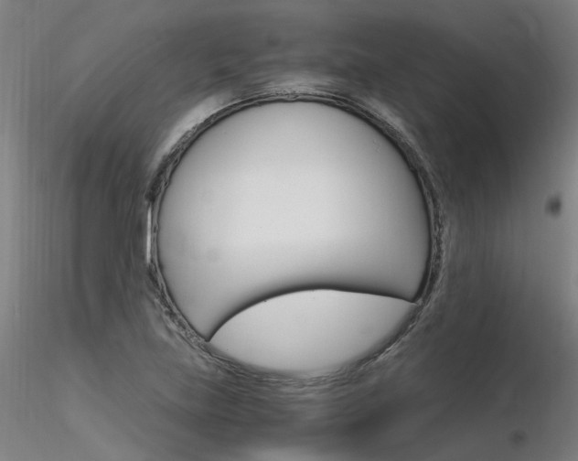 X0000116371219200912021002