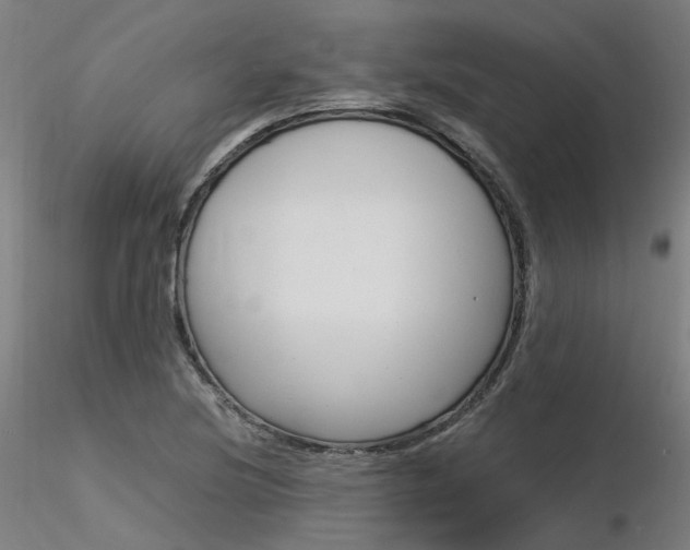 X0000116371220200912021002