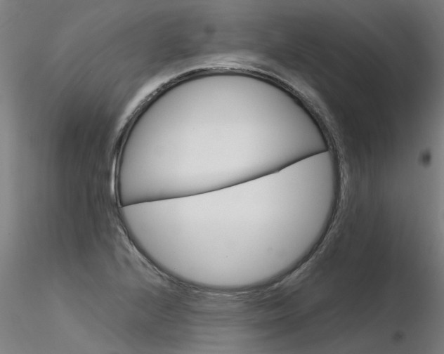 X0000116371224200912021002