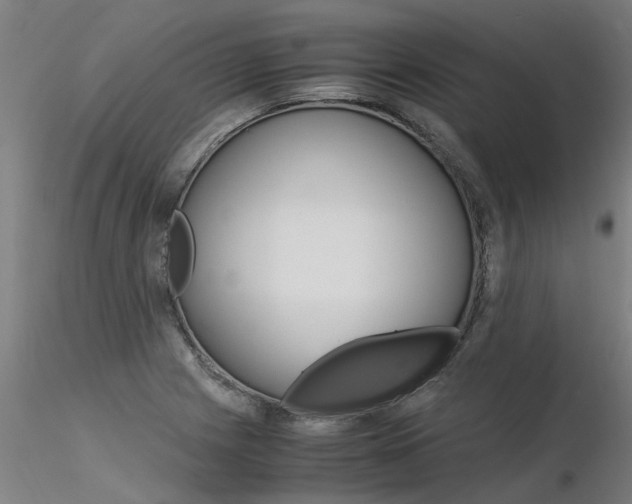 X0000116371225200912021002