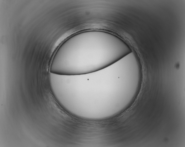 X0000116371226200912021002