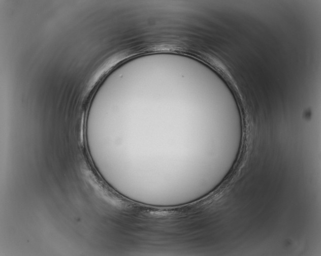 X0000116371227200912021002