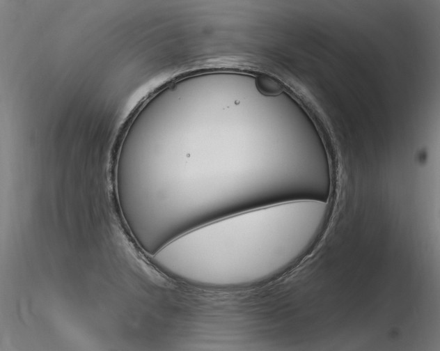 X0000116371230200912021002