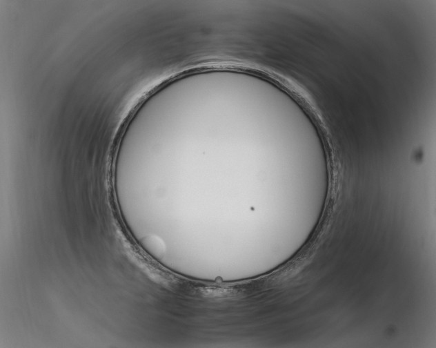 X0000116371231200912021002