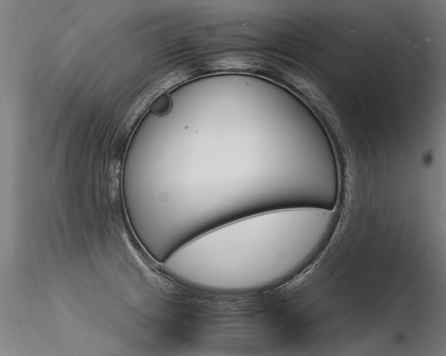 X0000116371233200912021002