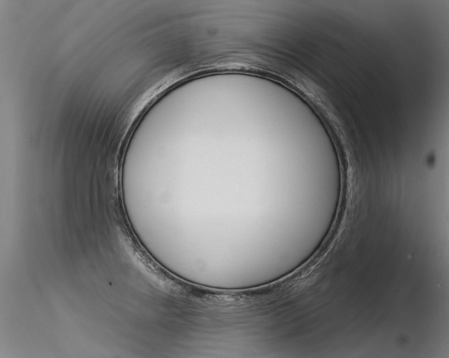 X0000116371234200912021002