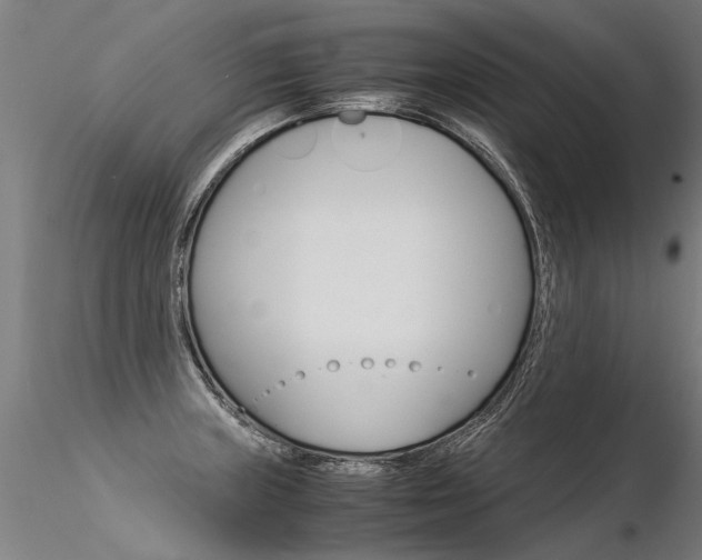 X0000116371235200912021002