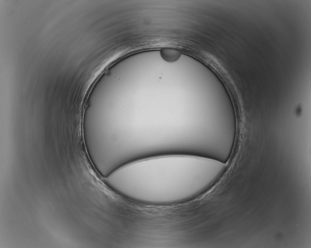 X0000116371236200912021002