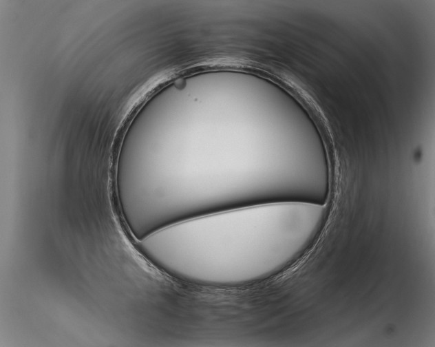 X0000116371237200912021002