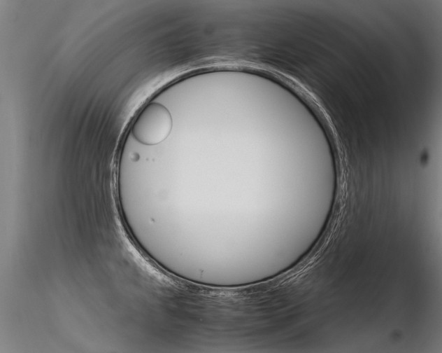 X0000116371239200912021002