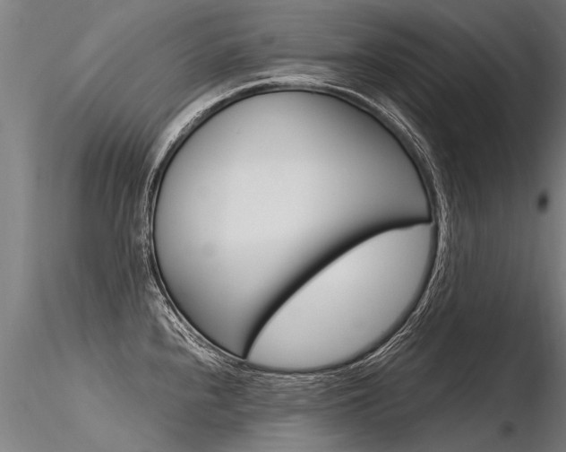 X0000116371240200912021002