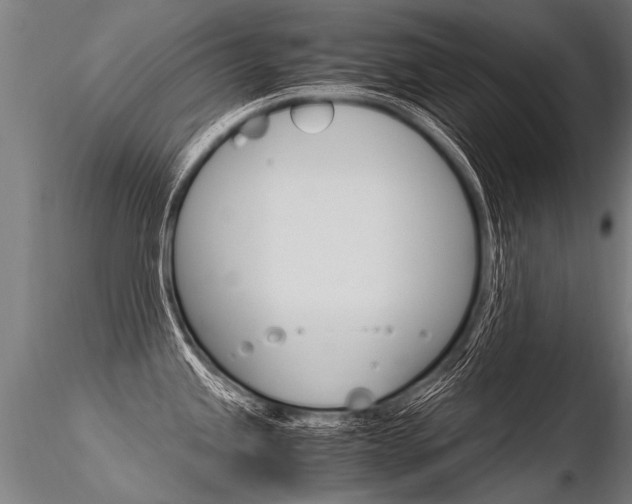 X0000116371245200912021002