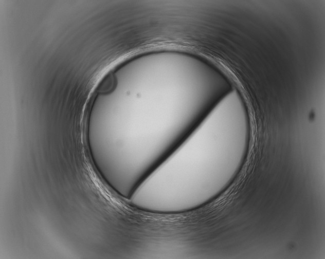 X0000116371246200912021002