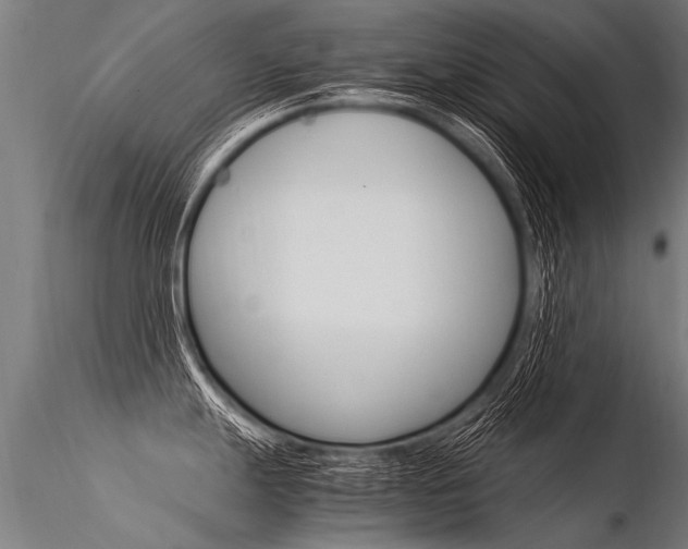 X0000116371247200912021002