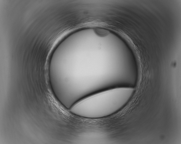 X0000116371248200912021002