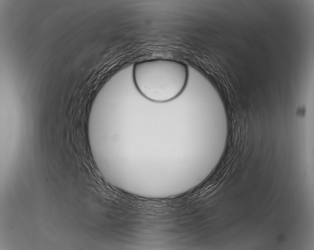 X0000116371249200912021002