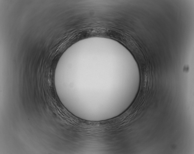 X0000116371250200912021001