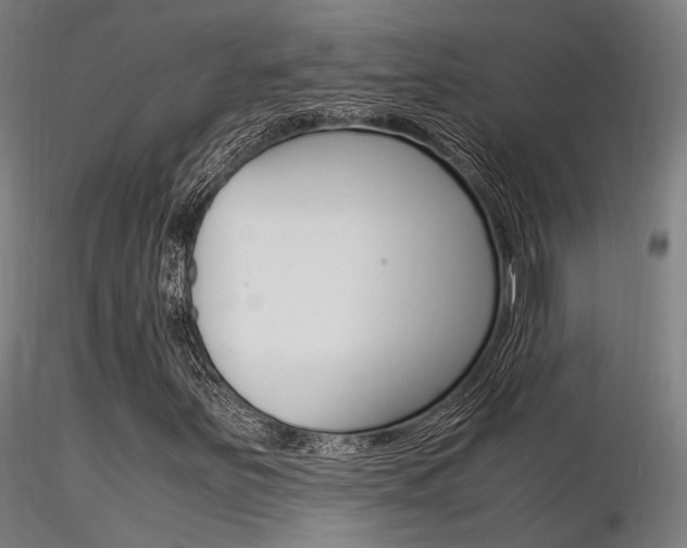 X0000116371251200912021001