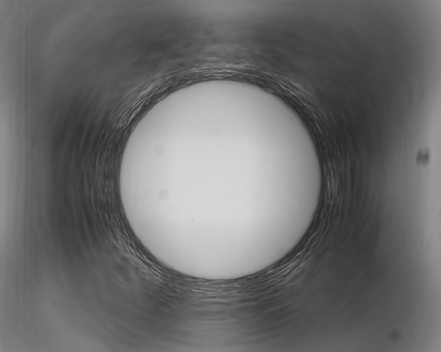 X0000116371252200912021001
