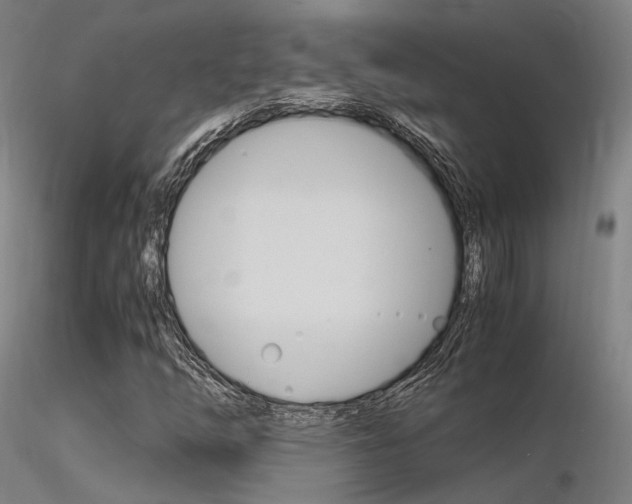 X0000116371254200912021001