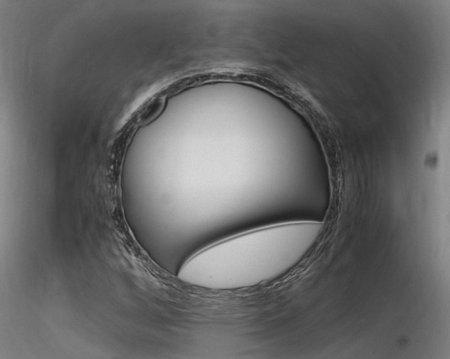 X0000116371256200912021001