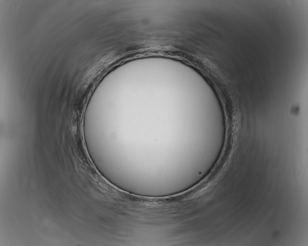 X0000116371257200912021001
