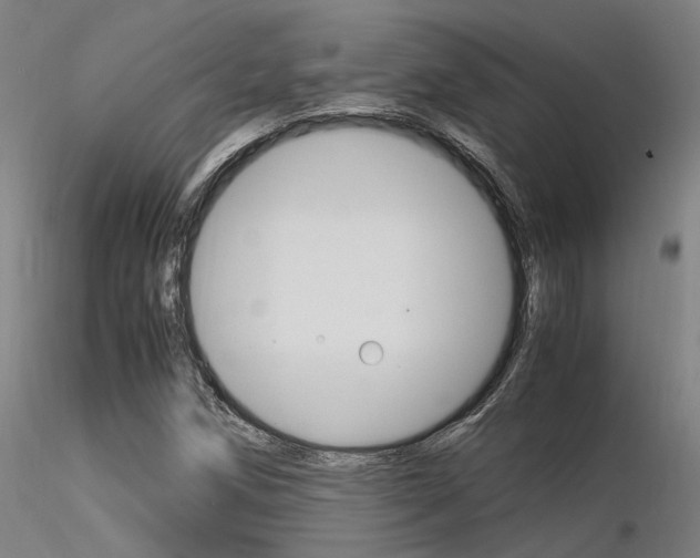 X0000116371258200912021001