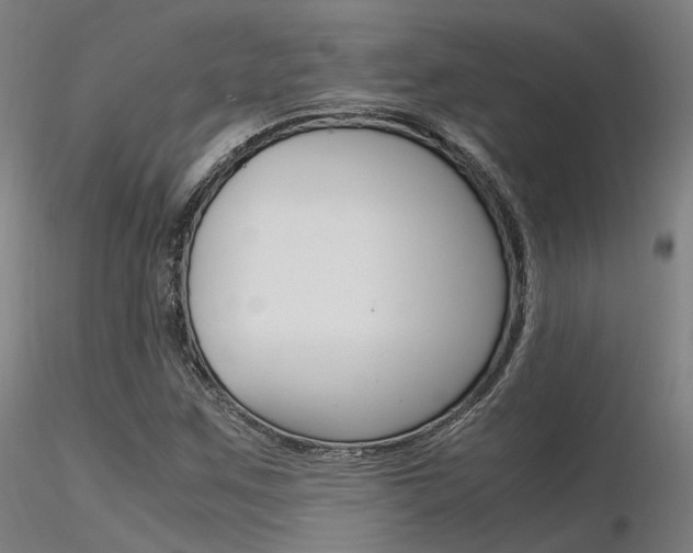 X0000116371259200912021001