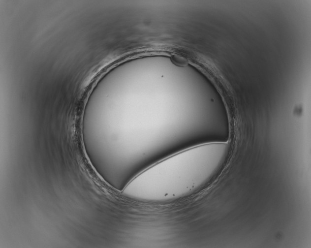 X0000116371260200912021001