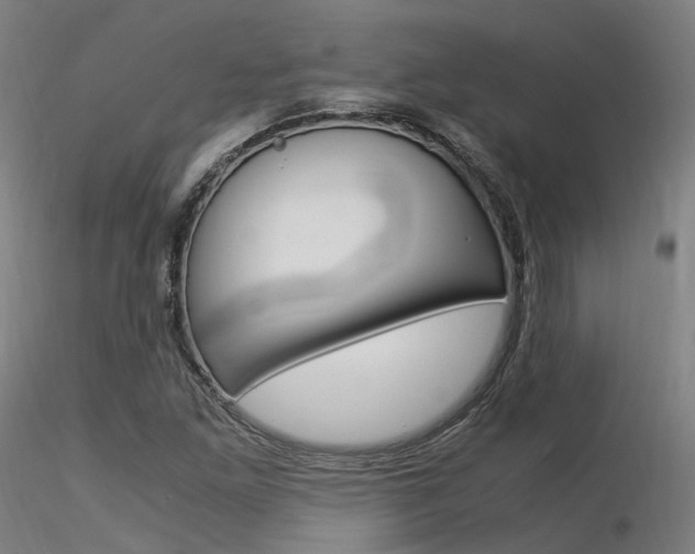 X0000116371261200912021001