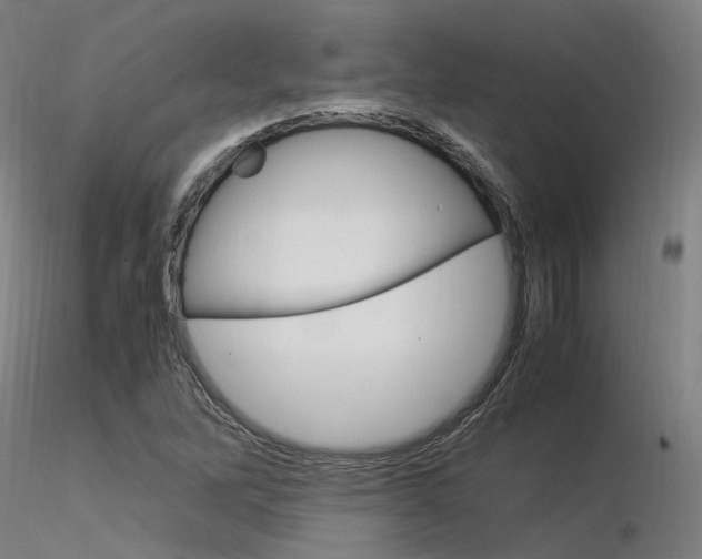 X0000116371262200912021001