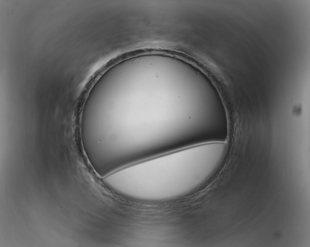 X0000116371264200912021001