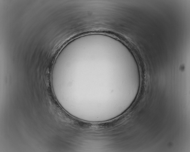 X0000116371265200912021001