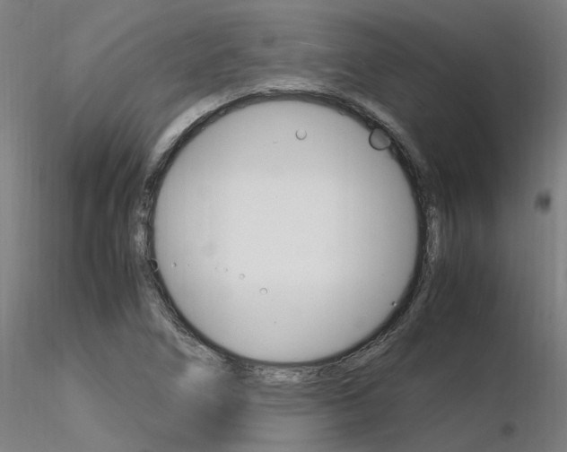 X0000116371266200912021001