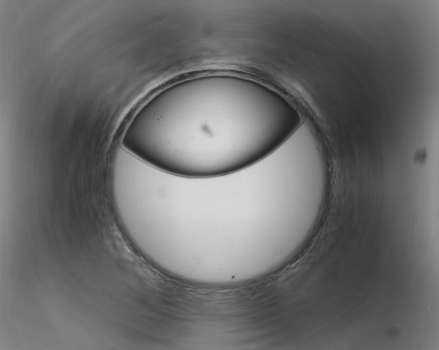X0000116371268200912021001