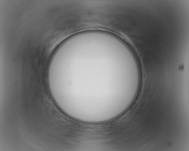 X0000116371269200912021001