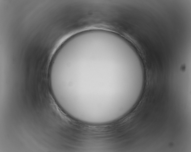 X0000116371272200912021001