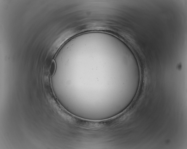 X0000116371273200912021001