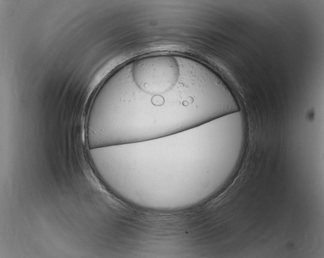 X0000116371274200912021001