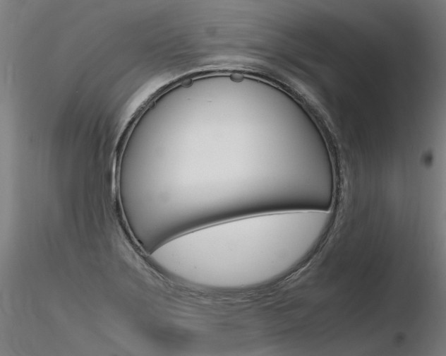 X0000116371275200912021001