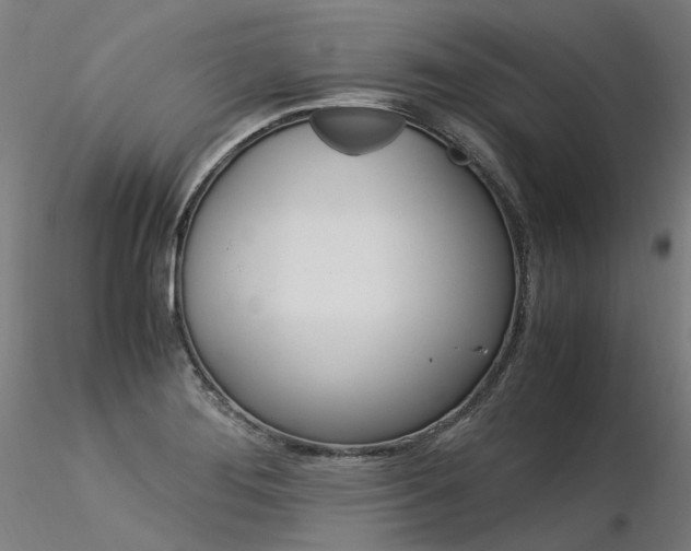 X0000116371276200912021001