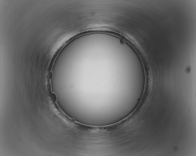 X0000116371277200912021001